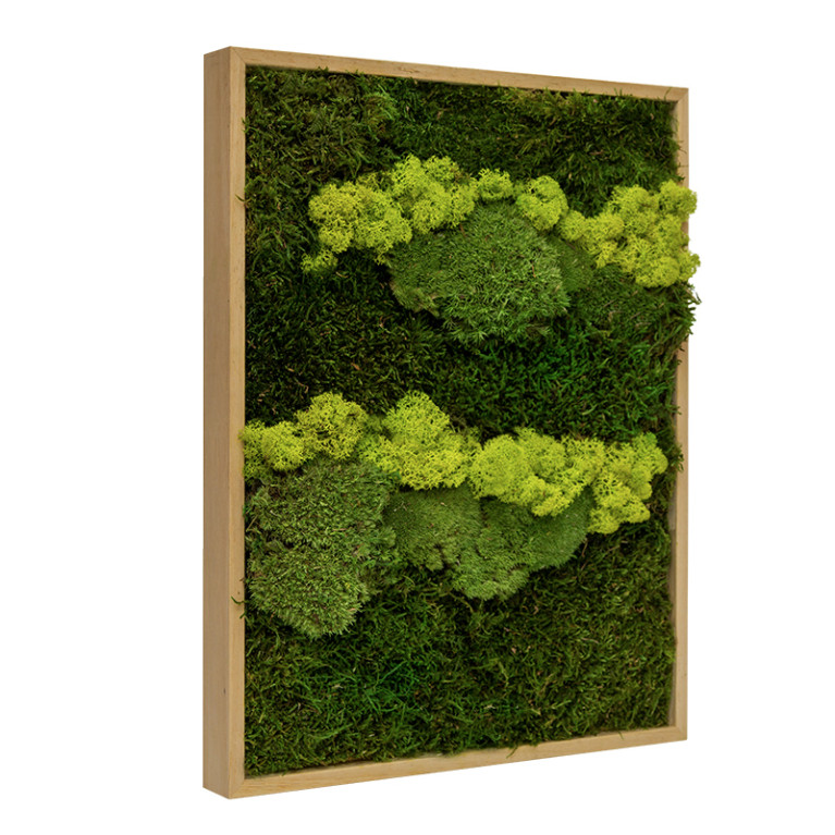 Mosschilderij Lappenmos-Rendiermos-Bolmos 60x80 cm Eikenhout - Skive Lentegroen