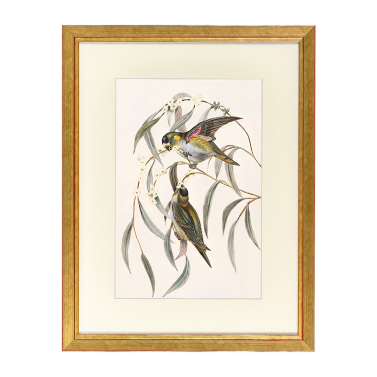 Fotolijst Tropez Goud 60x70 cm - Art Print en Passe Partout