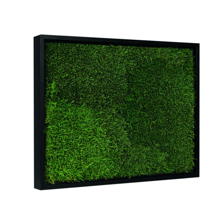 Mos Schilderij Lappenmos 70x100 cm Zwart