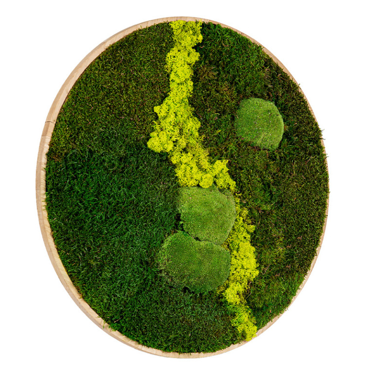 Mos Schilderij Rond 60 cm Ongelakt Eiken Uppsala Lentegroen - Zijaanzicht