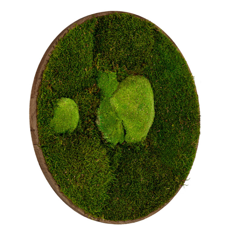 Mos Schilderij Rond 40 cm Donker Eiken Esbjerg - Zijaanzicht