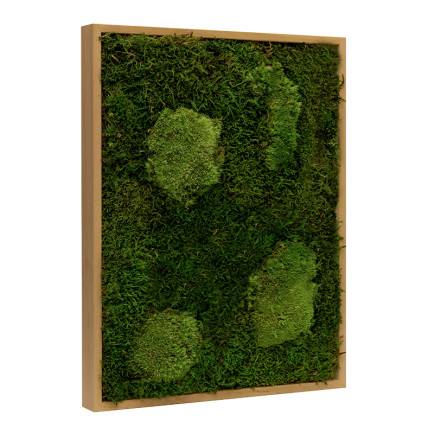Mosschilderij Lappenmos-Bolmos Eikenhout - Viborg - Zijkant