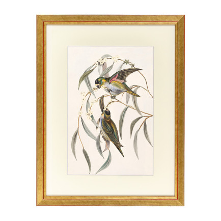 Fotolijst Tropez Goud A4 (21x29,7 cm) - Art Print en Passe Partout